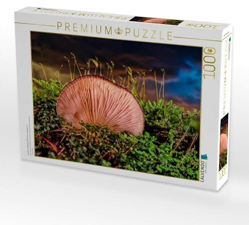 CALVENDO Puzzle Austern-Seitlings (Pleurotus ostreatus) | 1000 Teile Lege-Größe 64 x 48 cm Foto-Puzzle für glückliche Stunden