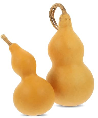 Toyvian Natural Wu Lou Gourd, 2Pcs Dried for DIY Painting Crafts Feng Shui Decoration Traditional Chinese Gourd Ornament for Good Luck Natural Wood Bottle for Tabletop Decor