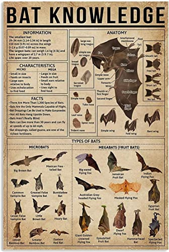 FJQWKLF Fledermaus-Wissen, Aluminium-Poster, Informationen, Anatomie, Typ, Metall-Blechschilder, Raumdekoration, Wissenschaft, Bildung, Farm Club, Wanddekoration, Retro-Plakette, 30,5 x 40,6 cm