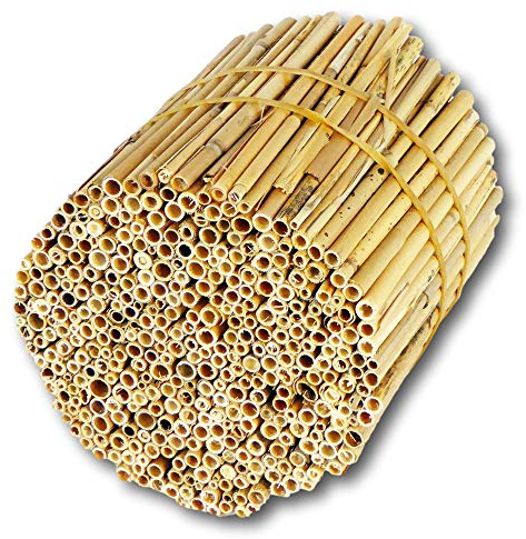 BeeCasa by Hiss Reet® Schilfrohrhalme FEIN | Naturbelassener Bund | Insektenhotel & Bienenhotel Füllmaterial | Niströhren & Nisthülsen für Wildbienen