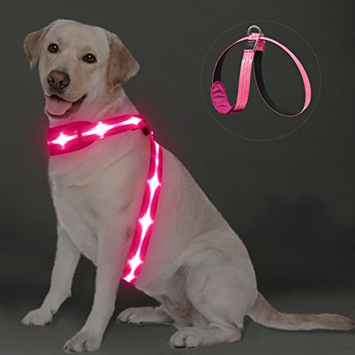 PZRLit LED Hundegeschirr Leuchtend für Hunde, Leuchtgeschirr Hundeweste Wiederaufladbar