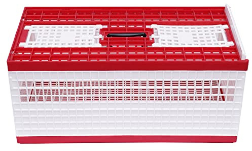 Racing Pigeon Carrier Box Bird Training Basket with 2 Side Doors 2 Top Doors Box