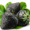 100 Pezzi Semi Fragole, Piante di Fragole, Fragole Semi, Semi Di Fragole, Semi di Frutta, Sementi da Fragole Nutrienti Ricchi di Vitamine Piantine Multicolore per Fattoria Verde (Nero)