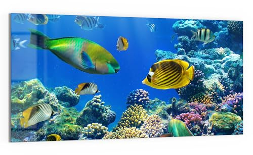 DEQORI Glasbild Echtglas | Motiv Unterwasserwelten | horizontal einteilig 100x50 cm | schöne Dekoration | Wandbild für Wohnzimmer, Schlafzimmer, Flur & Küche | moderne Wanddeko