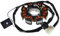 2extreme Alternateur stator pour Kymco Agility 50, grand dink 50, Like 50 2T, People 50