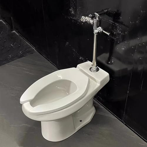 WXXSHGDW WXXZCE WC a Poser sans Reservoir, WC Sortie Verticale, avec Chasse d'eau Manuelle, Matériau Céramique, Installation Au Sol, Évacuation Au Sol, Capacité de 4,5 L