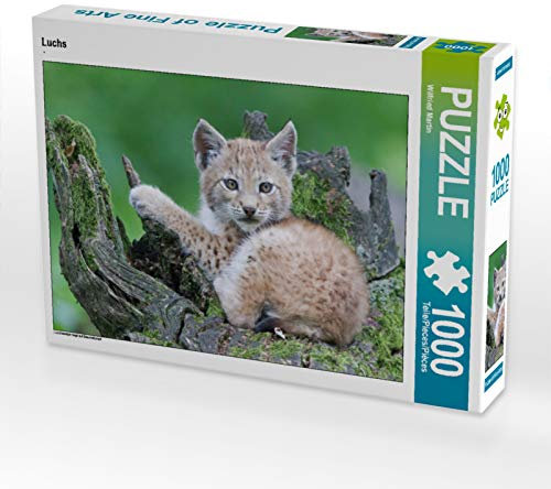 CALVENDO Puzzle Luchs 1000 Teile Puzzle quer | 1000 Teile Lege-Größe 64 x 48 cm Foto-Puzzle für glückliche Stunden