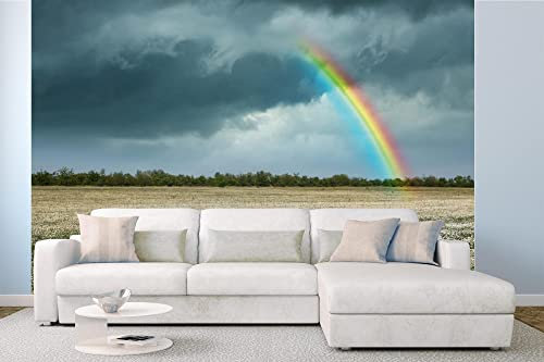 Vlies Fototapete REGENBOGEN ÜBER DEM KAMILLENFELD 375 x 250 cm (inkl. Kleister) - Vlies Tapete, Wandtapete, Wandbilder - Tapete für Wohnzimmer Schlafzimmer, Büro, Küche - Montagefertig