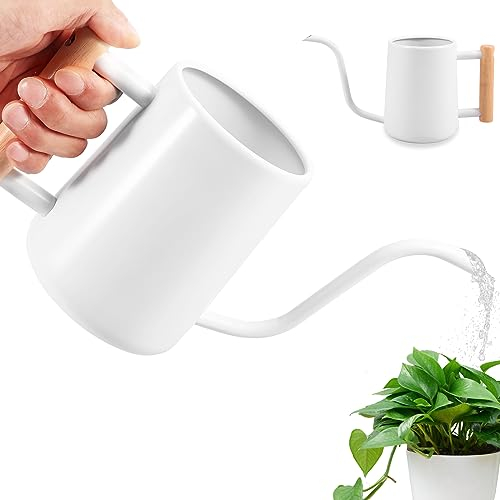 Pflanzen Gießkanne 1l Gießkanne für Zimmerpflanzen Langer Auslauf Edelstahl-Gießkanne mit Stabiler Holzgriff Auslaufsicher Watering Can für Zimmerpflanzen im Freien Garten Blumen (Weiß)