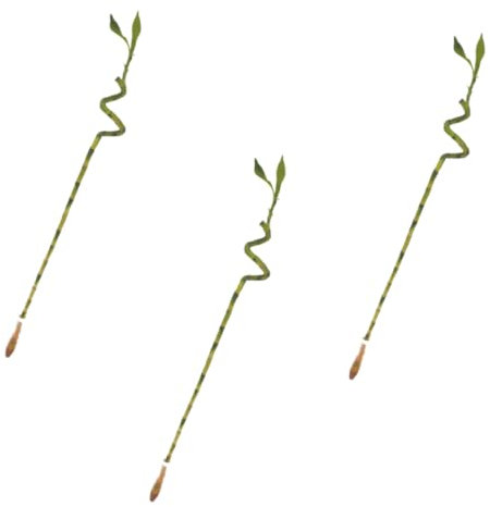 Verdecora Lucky Bamboo | Bambú de la suerte | Planta natural de interior (Espiral 70cm PACK 3 UNIDADES)