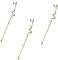 Verdecora Lucky Bamboo | Bambú de la suerte | Planta natural de interior (Espiral 70cm PACK 3 UNIDADES)
