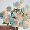 200 pcs rosensamen zum einpflanzen, rosen samen, wildblumen, topfpflanzen echt kletterrosen winterhart zimmerpflanzen samen, pflanzen garten bienenfreundliche blumensamen, balkongewächshäuser