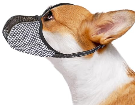 JOYPAWS Maulkorb für extra kleine Hunde, verhindert Beißen, Kauen & Bellen. Weiches, reflektierendes Air-Mesh, verstellbar, volle Abdeckung. Für Fellpflege & Schnitzen. Schwarz, S