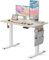 Marsail Electric Adjustable Height Standing Desk with Storage Bag, 40 * 24 Sit Stand Up Desk for Home Office,Computer Gaming Workstation, 4 Memory Height Settings,Cable Manager, and Headphone Hook