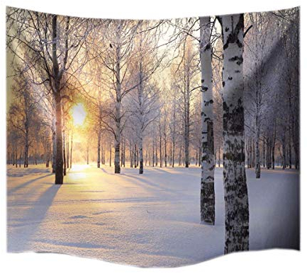 A.Monamour Birke Winter Weißen Schnee Wald Sonnenschein Landschaft Fotodruck Stoff Wandteppich Wanddekor Für Schlafzimmer Schlafsäle 229x153cm
