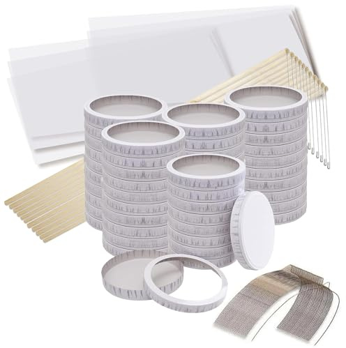 CREATIV DISCOUNT Laternen-Sparpack für 50 Laternen, inkl. Käseschachteln, Transparentpapierzuschnitten, Drahtbügeln & Laternenstäben aus Holz, ideal für Schule, Kindergarten zu Sankt Martin