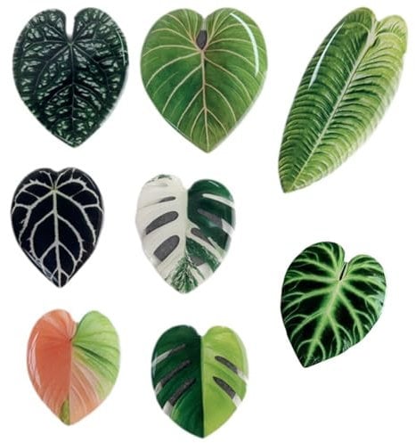 Ymxygz Plant Fridge Magnets 8pcs Cute Monstera Leaf Refrigerator Magnets Home Kitchen Decor, Whiteboard Stickers and Housewarming Gift for Plant Lover