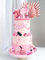 JeVenis Hot Pink Girl Tortendeko Kuchen Dekoration Kugel Palmblätter Kuchendekoration Tortendeko Blumen