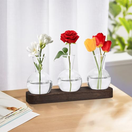 Geegear Propagation Station - 3 Pcs Glass Bulb Vase Plant Hydroponic Planter, Modern Desktop Table Top Planter for Home Office Coffee Table Décor