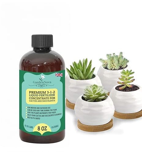 Premium Liquid Succulent Plant Fertilizer - 3-1-2 Concentrate for Indoor Plants and Flowers by GardenNova | Organic Plant Food for Succulents - 8oz