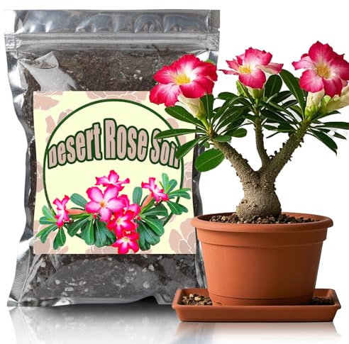 GOTVUGE Organic Desert Rose Potting Soil Mix for Healthy Growth - 100% Natural Potting Mixing - Specially Formulated Nutrient-Rich Plant Soil for Desert Rose Plant (4L)