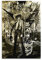Death Note Anime-Poster (2) Poster, Kunstdruck, Wandbild, Malposter zum Aufhängen, Familiendekoration, 30 x 45 cm