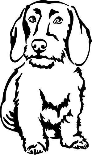 Rauhaardackel Dackel Teckel Wandtattoo Art.Nr.T0121 (50cm)