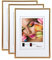 IDEAL TREND New Lifestyle Set Bilderrahmen Wanddeko Collage Poster Rahmen 2er 3er 5er Pack: Farbe: 3er Pack Kupfer | Format: 21x29,7 DIN A4