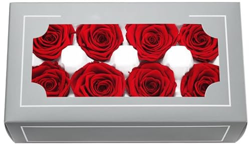 Têtes de Roses Éternelles Haut de Gamme Naturelles (4-5cm) – Durée 3-5 Ans, Déco Maison, Cadeaux Festifs, DIY – sans Entretien & Écologique (Rouge)
