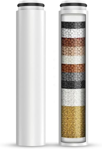 BOTC Filtre de Pommeau de Douche, Lot de 2, Nettoyage de L'eau Dure et L'élimination du Chlore et des Substances Nocives (Filtre de pommeau de douche)