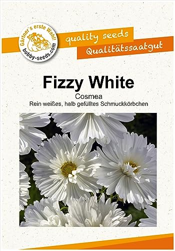 Blumensamen Fizzy White Cosmee Portion