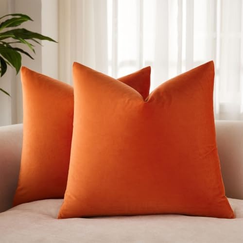 JUSPURBET 2 Pack Velvet Cushion Covers for Living Room Couch Sofa Bedroom Decorative Square Solid Color Soft Cushion Covers with Hidden Zipper 24x24 Inch Burnt Orange