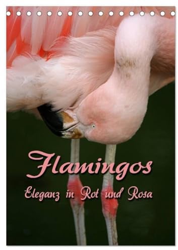 Flamingos - Eleganz in Rot und Rosa (Tischkalender 2026 DIN A5 hoch), CALVENDO Monatskalender: Auf Augenhöhe mit Flamingos (CALVENDO Tiere)
