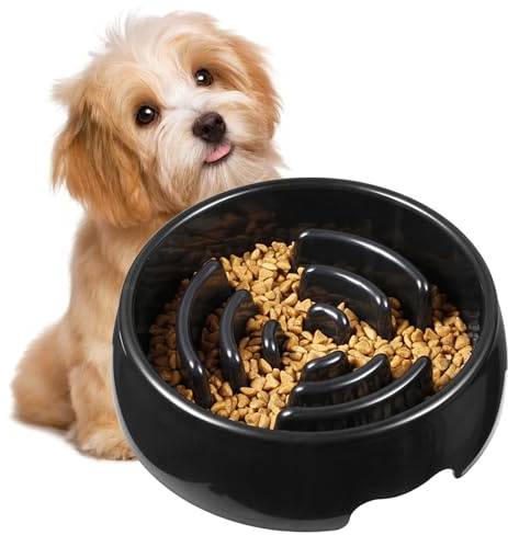 Ahuuen Plato de Comer Lento para Perros - Bandeja Antideslizante Y Antiatragantamiento con Laberinto | Recipiente Interactivo para Alimentación Lenta - para Cachorros Y Gatos Estimulación Mental