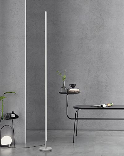 TACAHE Minimalist Corner Floor Lamp - 2700K-6500K Dimmable LED Night Light - Modern Standing Mood Lamp with Remote Control for Living Room, Bedroom - 57 12W - Silver