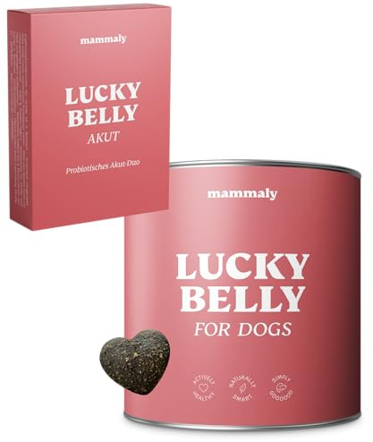 mammaly Lucky Belly Durchfall Akut-Set - Magen-Darm-Set für Hunde mit Lucky Belly Akut & Lucky Belly Snacks, zur Unterstützung bei akutem Durchfall & für die Nachsorge, mit Prä- & Probiotika