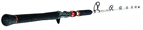 Sportex Turbo Cat Wallerrute Vertical TC2208 220cm 150-200g