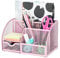 EXERZ Tisch-Organizer/Schreibtisch Organisator/Schreibtisch Tidy/Stifthalter/Multifunktions -Organisator (EX348 Hellrosa)