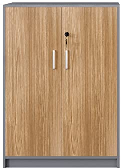 Bürozubehör Aktenschrank, Büro-Aktenschrank, mehrschichtig, mit Schloss, Druckerschrank, Holzaufbewahrung, niedriger Aktenschrank, Aufbewahrung, Büromöbel (Farbe: Grau, Größe: M)