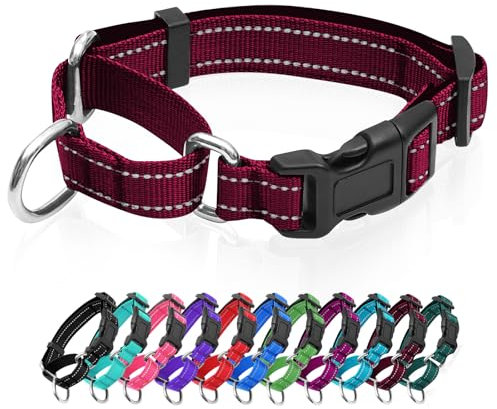 Reflektierendes Martingale-Hundehalsband, Hundehalsband mit Schnellverschluss-Schnalle, Verstellbares, weich gepolstertes, atmungsaktives Nylon-Haustierhalsband, geeignet für Welpen für kleine