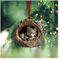 Wisafory Weihnachtsbaumschmuck Acryl Tier Dekor Weihnachtsbaum Anhänger mit Tiermuster 2D Acryl Weihnachtsdeko Eule Waschbär Ornament für Urlaub, Party, Weihnachtsdeko Wolf