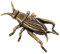 Alipis Cricket-Ornamente Vintage-deko-Statue Für Den Schreibtisch Schreibtischfiguren, Grillen-Dekoration Dekorative Grillenfiguren Zur Präsentation Minifiguren Golden Kupfer