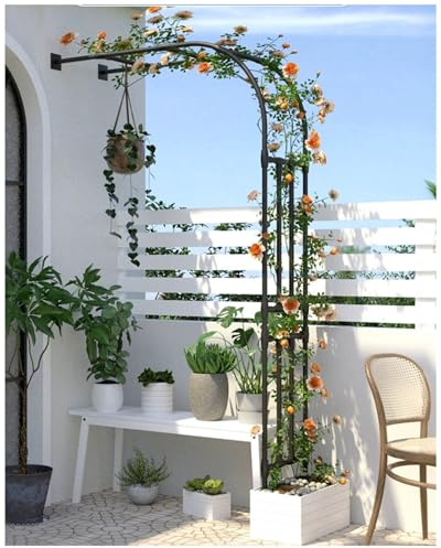 Arceau À Rosiers Demi Rond, Arche de Jardin Murale, 60cm-300cm Tonnelle de Jardin Support pour Plantes Grimpantes, Décoration Extérieur(W220xH240cm)