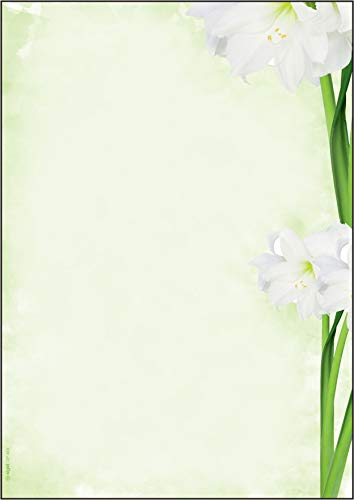 SIGEL DP463 Motiv-Papier Green Flower, Briefpapier 90 g DIN A4, 25 Blatt, aus nachhaltigem Papier