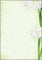 SIGEL DP463 Motiv-Papier Green Flower, Briefpapier 90 g DIN A4, 25 Blatt, aus nachhaltigem Papier