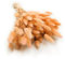 Enchanted Dekogras Getrocknetes Gras Ziergras Hasenschwänze Lagurus Ovatus Samtgras Häschen-Schwanzgras Trockenblumen Natürlich Boho 120 - 150 Stück 100 g Pfirsichfarben