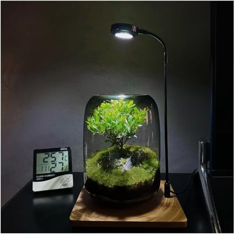 Albero della Vita Pianta Ornamentale Contenitore di vetro LED Set di luce di crescita, con supporto in metallo Base di legno, possibilità di collegare piante artificiali, Adatto per camera da letto, s