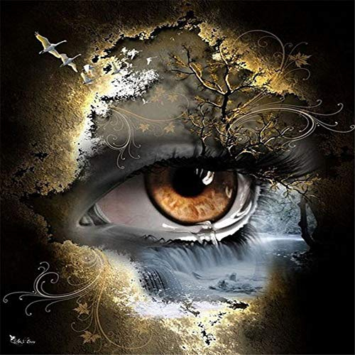SHUIYAZI DIY 5D Diamant Painting Malen nach Zahlen Kit für Kinder Abstrakte Augen Diamant Gemälde voller Bohrer Strass Stickerei Painting Kunst Basteln Leinwand Wand Aufkleber für Home Decor,25x25cm