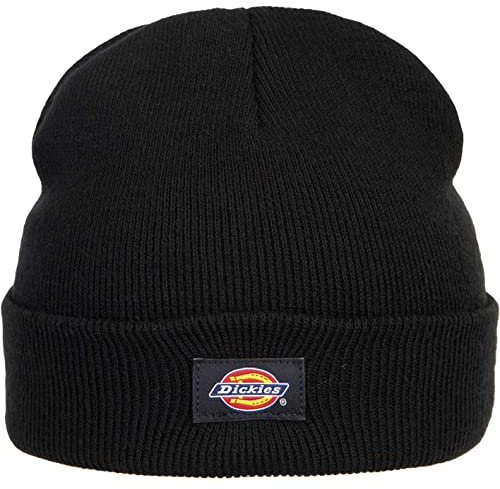 Dickies Gibsland Beanie (OS, Black)