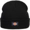Dickies Gibsland Beanie (OS, Black)